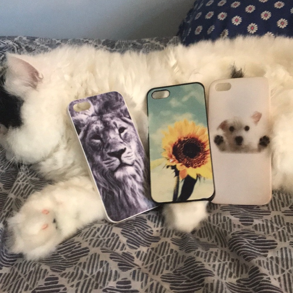 4 iPhone 5s Cases